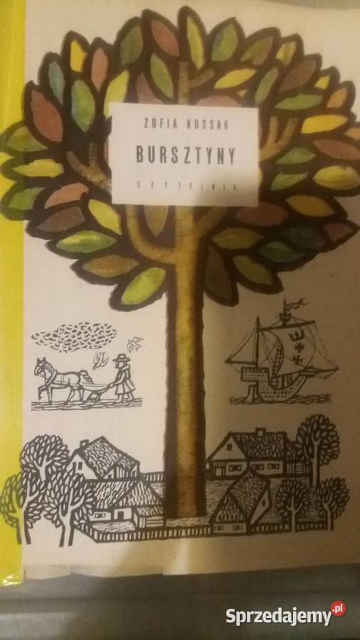 Bursztyny Czytelnik książki antykwaryczne Warszawa