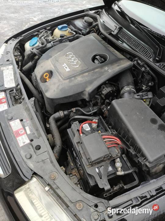 Audi A3 8L 19tdi A3 Starachowice sprzedam