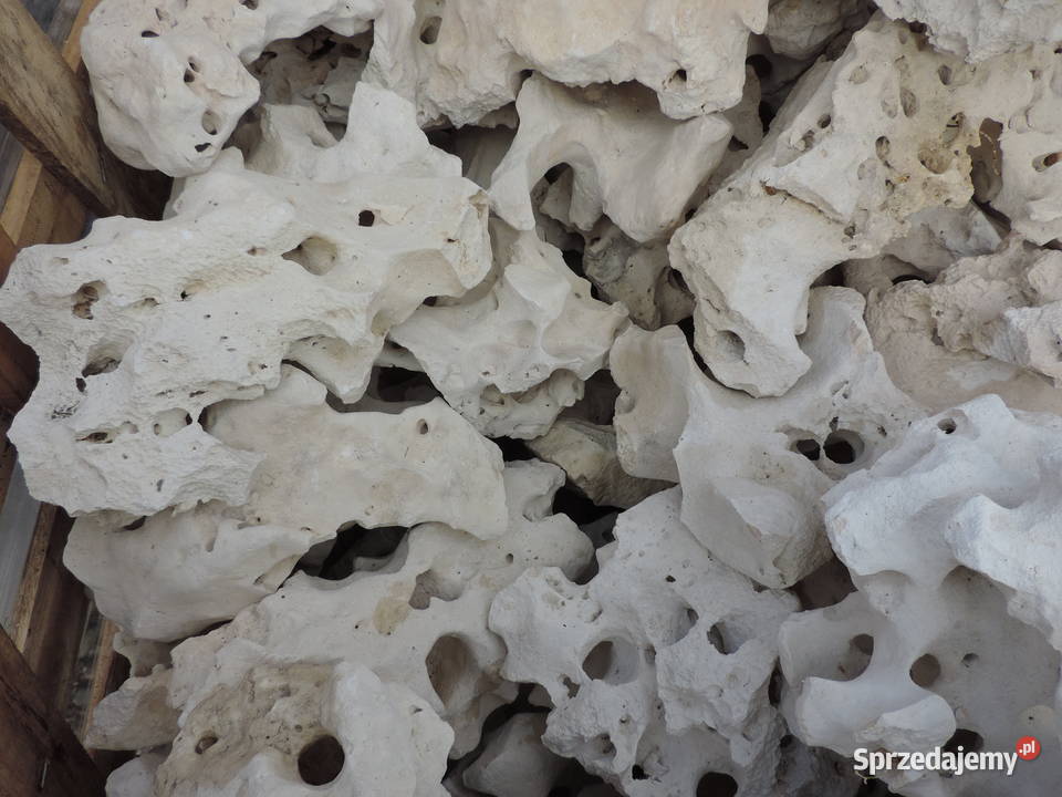 Wapień Filipiński Skała Bryła Kamień do akwarium Oświęcim