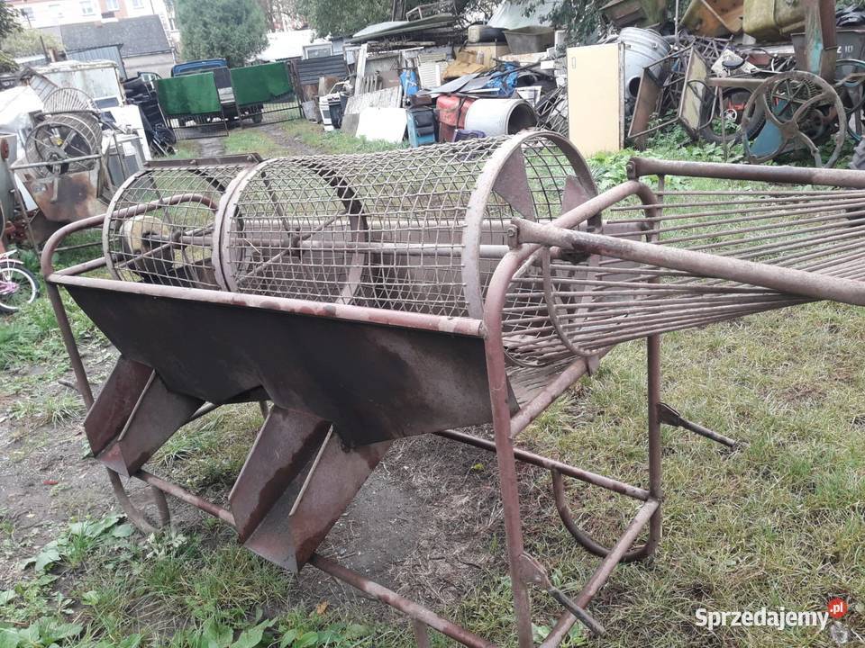 Sortownik do ziemniaków sprawny Parczew sprzedam