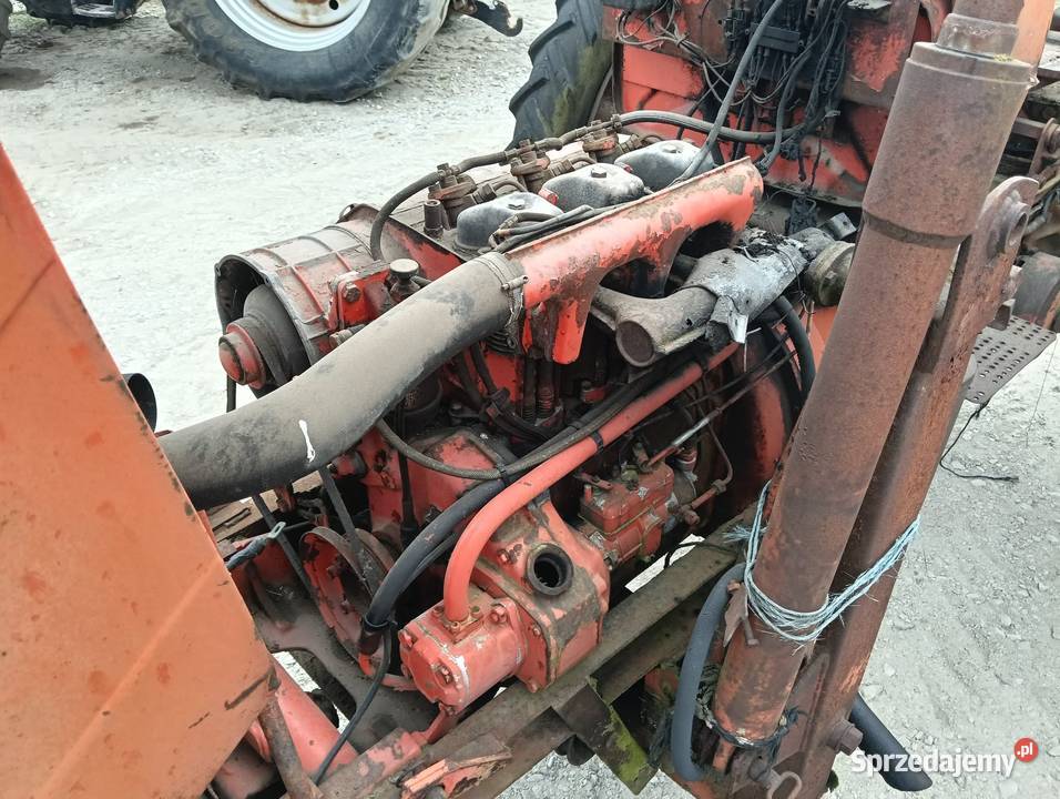 Renault 56 wielkopolskie Grodzisk Wielkopolski