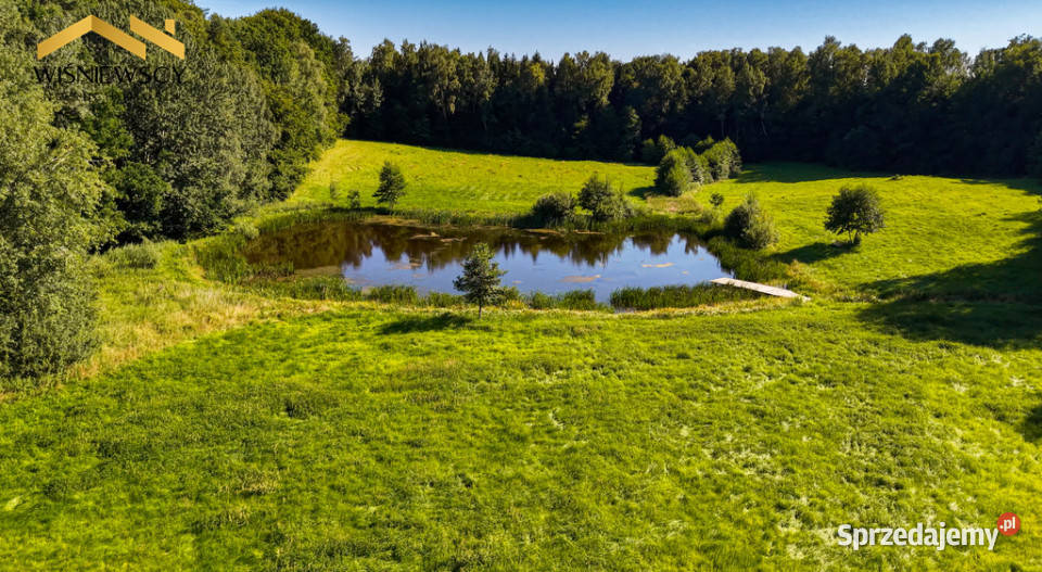 Rogowo 29 ha ze stawem i działką pod dom