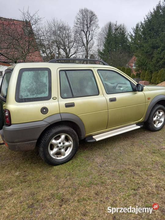 Land Rover Freelander Olsztyn