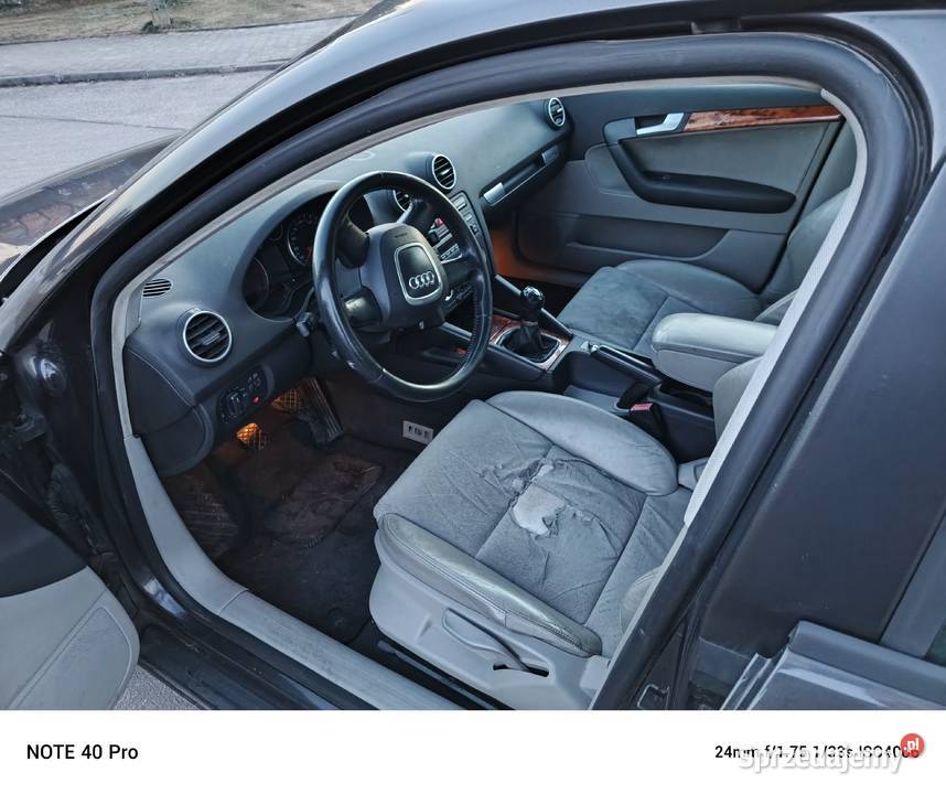 Audi A3 8P 19TDI Dłutów