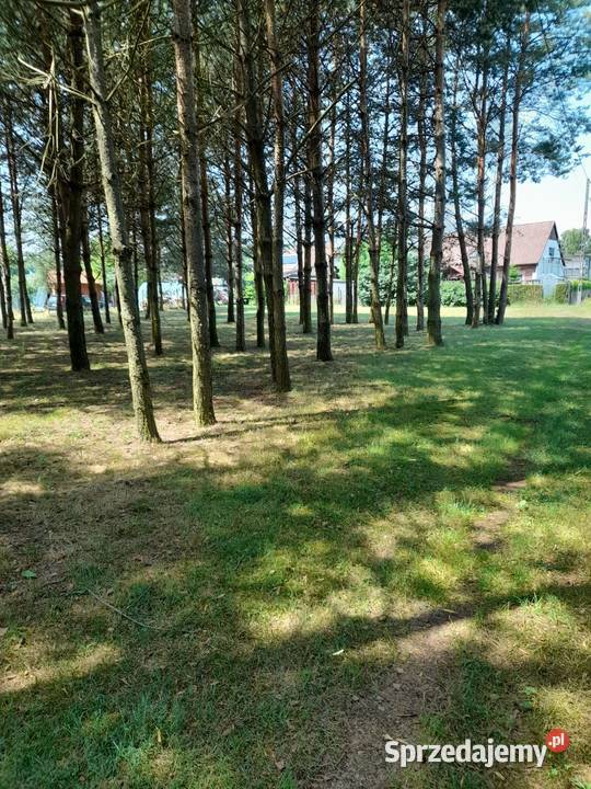 Sprzedam działkę rekreayjną Rybnik