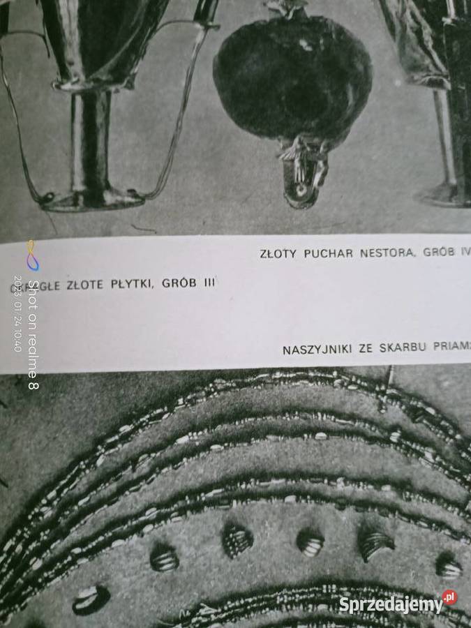 Sen o Troi książki historyczne księgarnia Praga Książki naukowe i popularnonaukowe mazowieckie Warszawa