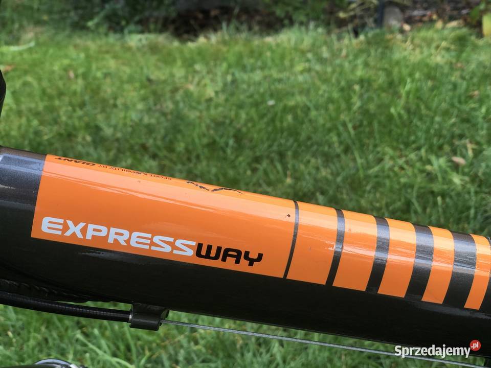 Rower Składany GIANT EXPRESSWAY Poznań sprzedam