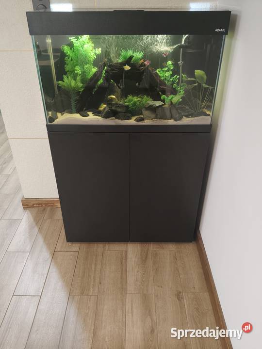 Zestaw akwarium Aquael OptiSet 125 z całym Lipno