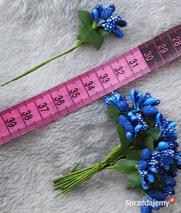 Kaszka ryżyk pęczek niebieski florystyczny Ustka