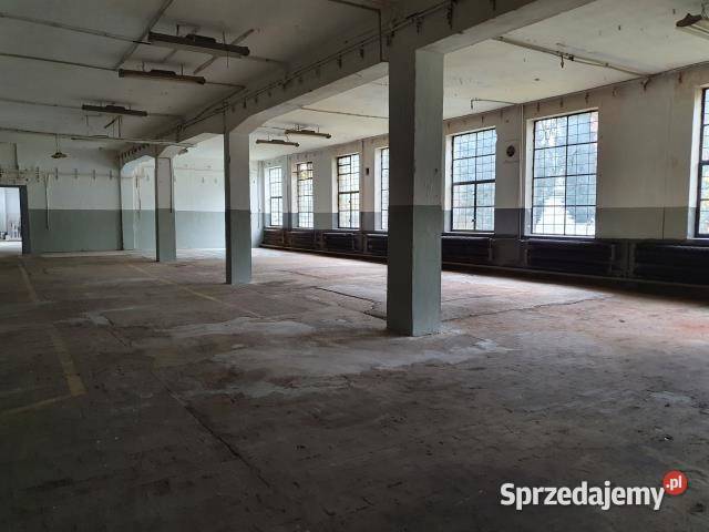 Lokal Pruszków dojazd asfaltowy