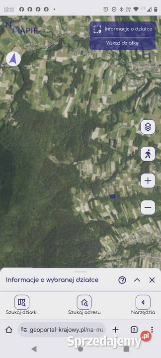 Sprzedam działkę rekreacyjną częściowo zalesioną Błażkowa