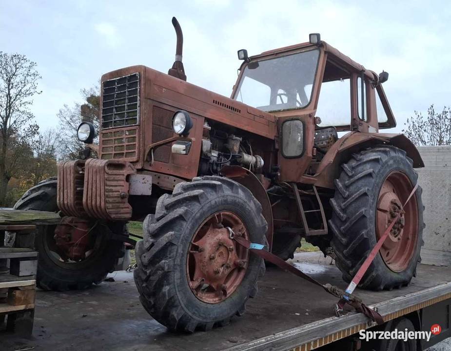 Mtz 82 4x4 Zarejestrowany MTZ Morąg