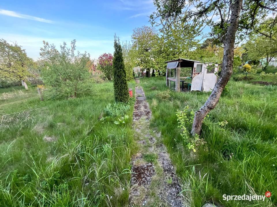 Działka ROD Zacisze 700 m2 z domkiem zachodniopomorskie Szczecin sprzedam