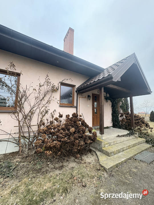 Błaszki Dom 160 m na dużej działce 30 arów cisza łódzkie