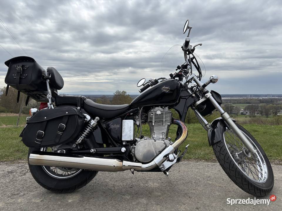 Suzuki Savage LS 650 Katowice