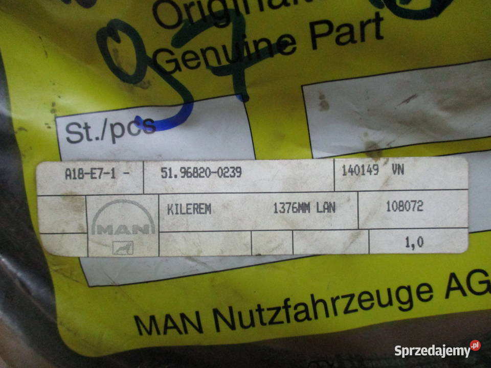 Pasek wielorowkowy Man 51968200239 ciężarowe kujawsko-pomorskie Mogilno