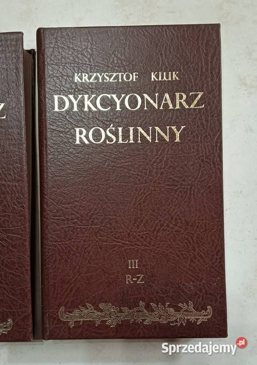 Krzysztof Kluk Dykcyonarz roślinny 1805 komplet Katowice