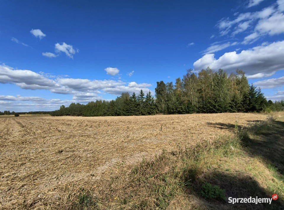 sprzedaży działki 2564m2 Starościn 109m