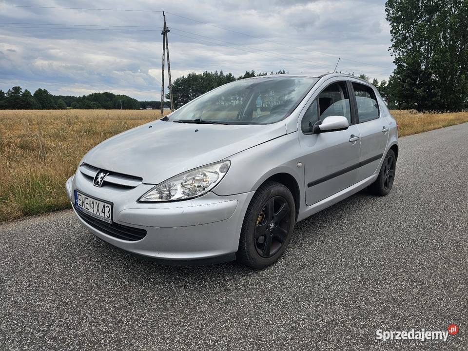 Peugeot 307 16 benzyna Rok produkcji 2001 łódzkie Chotynin