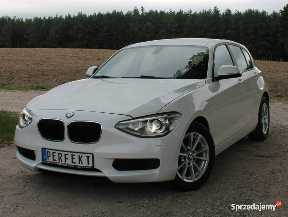 BMW 116 F20 20 Diesel BIXENON Klimatronik GRZANE