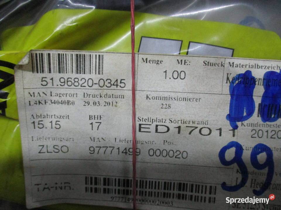 Pasek klinowy rowkowany Man 51968200345