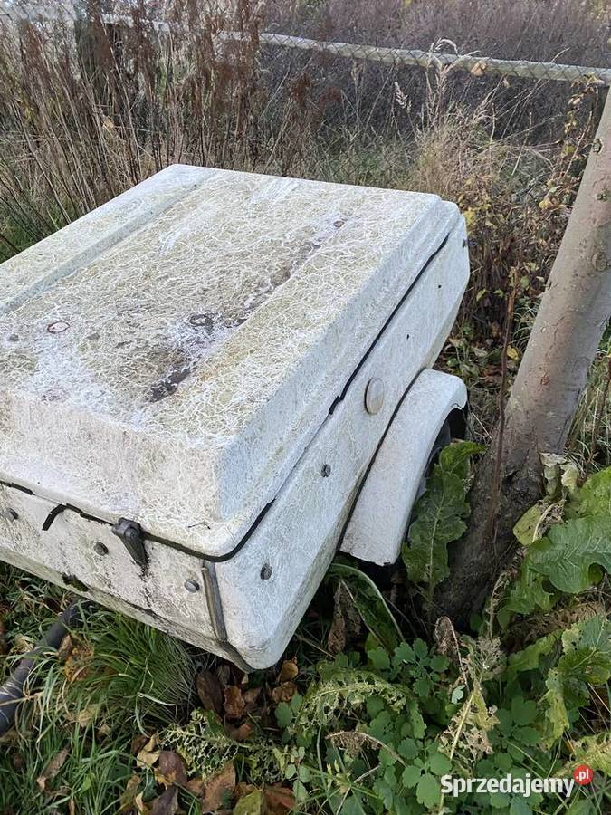 Przyczepa lekka N250 Niewiadów