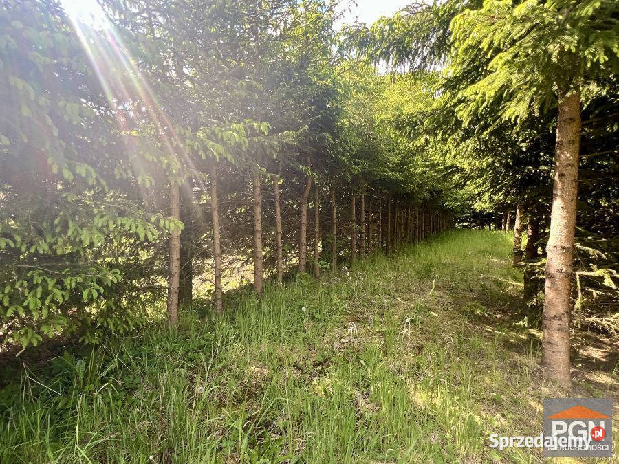 Dom do sprzedania Kamień Pomorski 75m2 Sprzedaż Sprzedaż