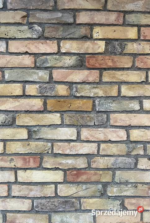 Płytki z cegły lico mazurskie EDYCJA LIMITOWANA