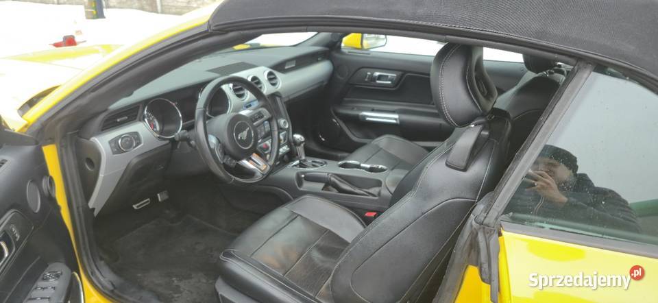 Ford Mustang VI 23 ecoboost Mrozy