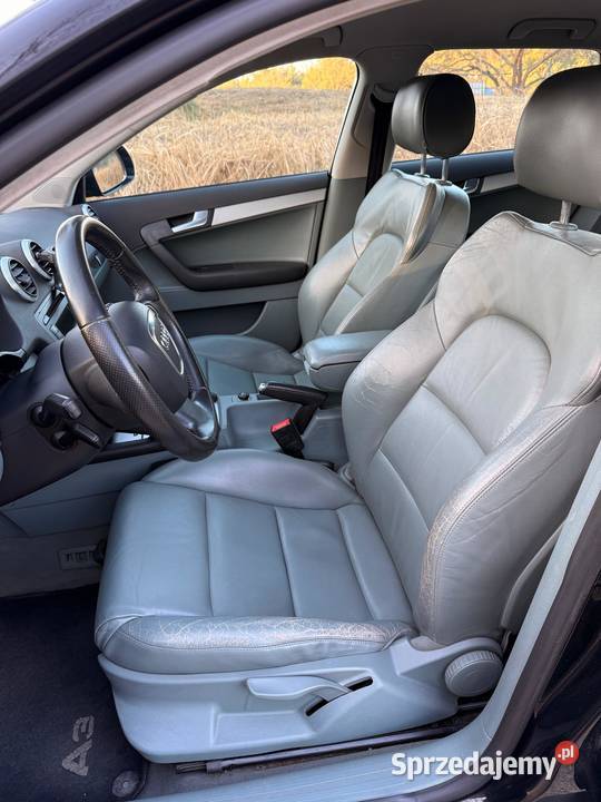 Audi A3 8P 2009r 20 TDI CR 136KM Turek