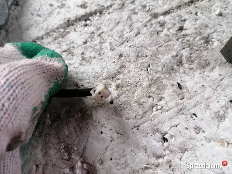 Zestaw Startowy Komputer Nissan Almera Tino