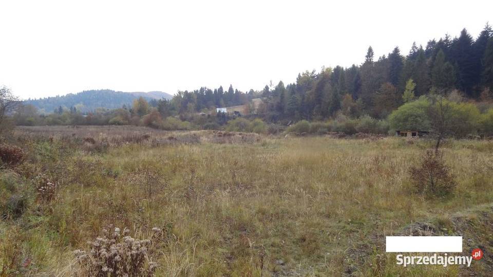 Działka rolna 12700 ha Bieszczady Ustrzyki Dolne Warszawa sprzedam