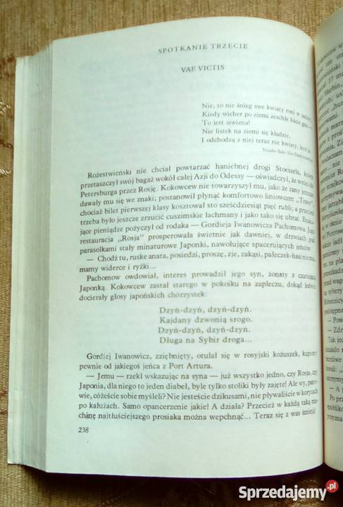 TRZY SPOTKANIA Z OKINISAN Walentin PIKUL sprzedam