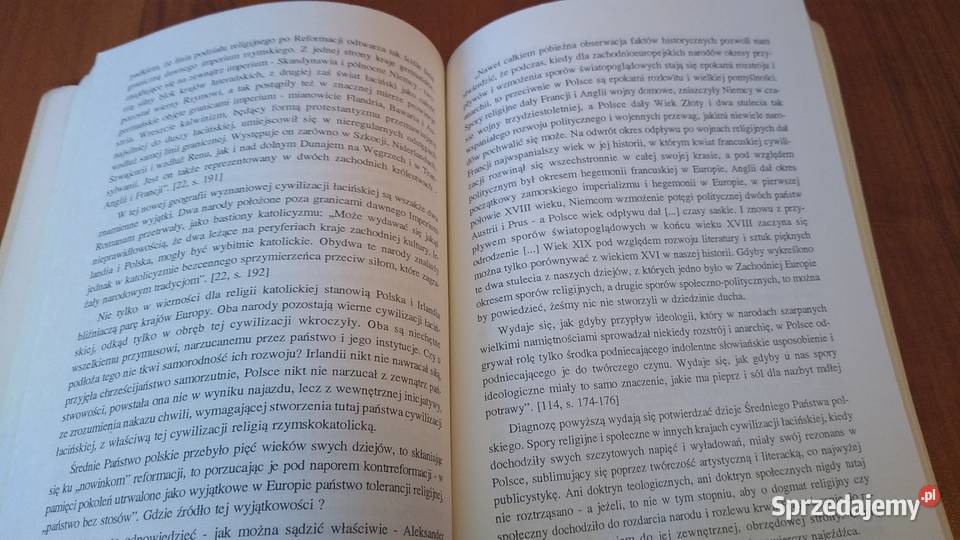 Między historiozofią a geozofią szkice z sprzedam