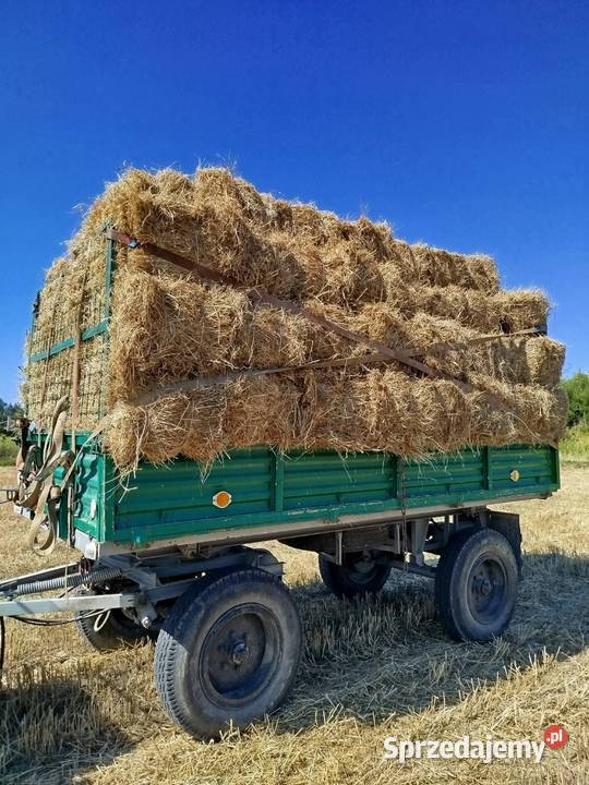 Sprzedam słomę tegoroczną Kołaczyce