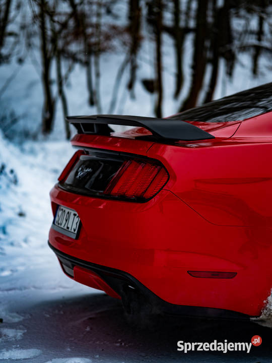 Ford Mustang 23 EcoBoost nieuszkodzony Żory