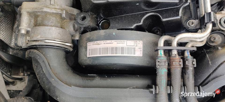 SILNIK BLS 19 TDI GOLF V JETTA LA7W Rudziniec