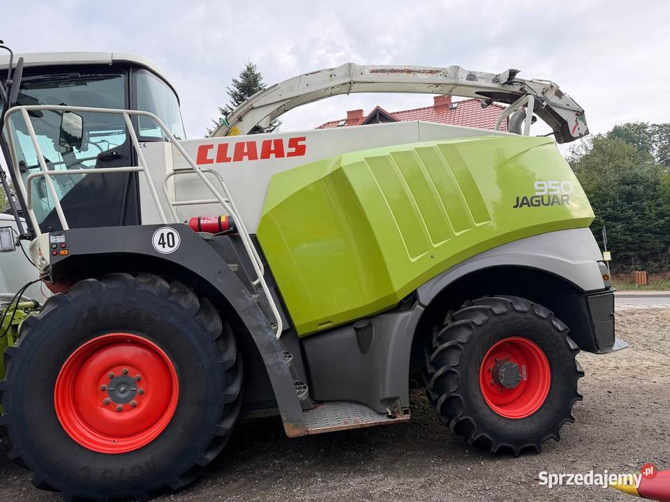 Sieczkarnia do kukurydzy Claas Jaguar 950 w Nowa Ruda