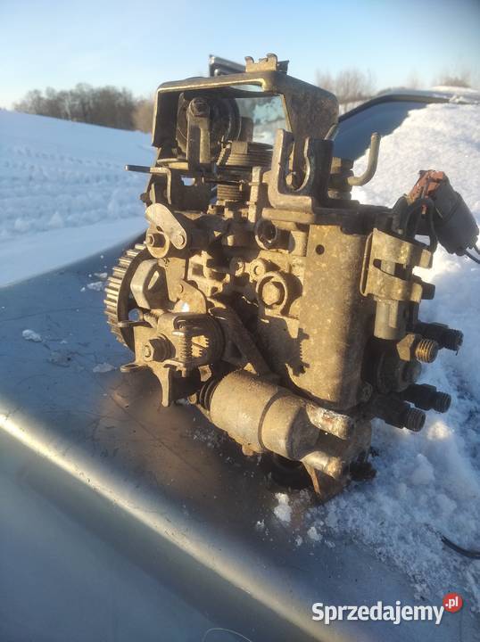 nissan primera Puńsk