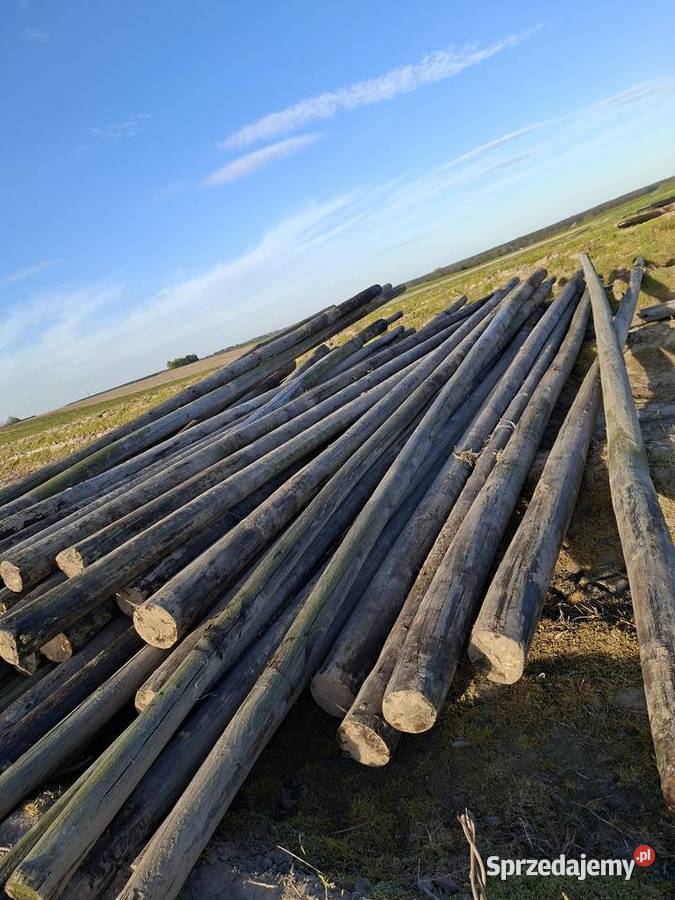Słupy chmielowe 75m i 95m duża ilość Borzechów