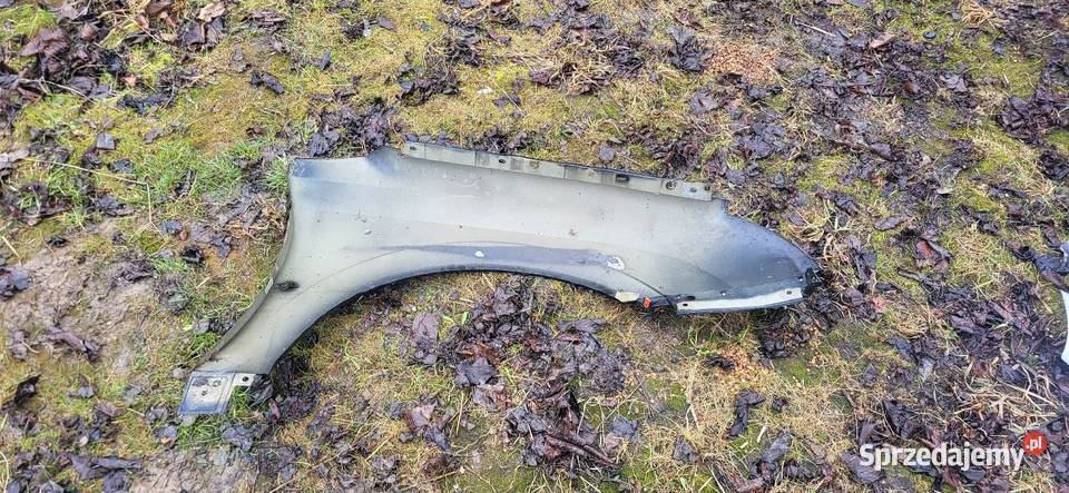 Błotnik Lewy Prawy Opel Vectra C Czarny Przed FL osobowe Żabno