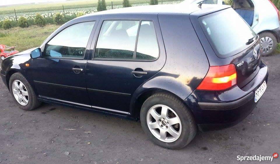 Golf 4 ComfortLine Orły