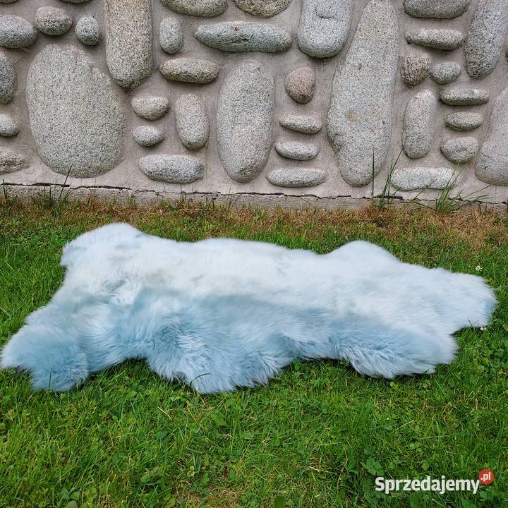 Skóra Owcza Kolor Miętowy Naturalna Skóry Dywany i wykładziny Szaflary sprzedam