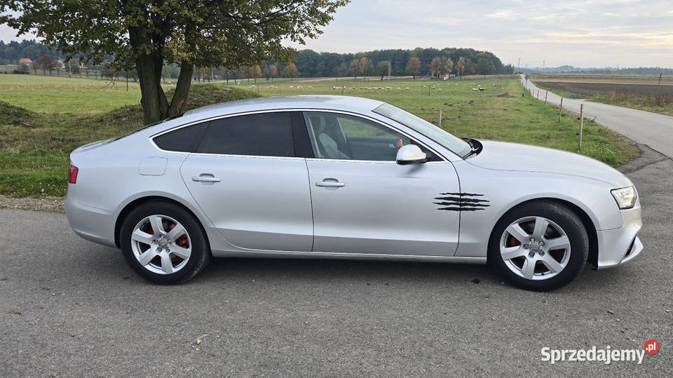 Sprzedam Audi A5 Sportback 20 TDI CGLC 177 Wielmoża