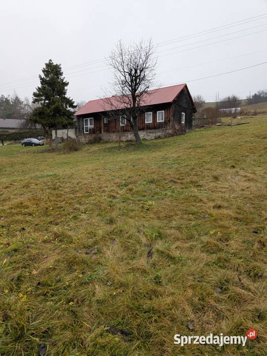 Sprzedam dom pole gospodarstwo las Rzepiennik Biskupi