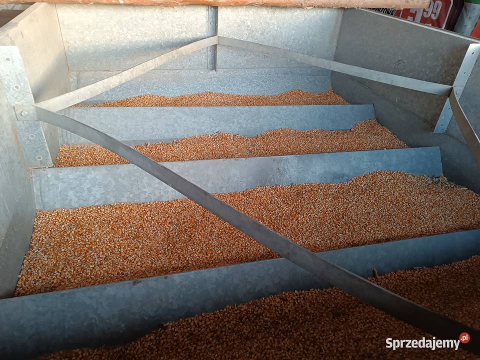 suszarnia daszkowa 6 ton nieuszkodzony Mechowiec