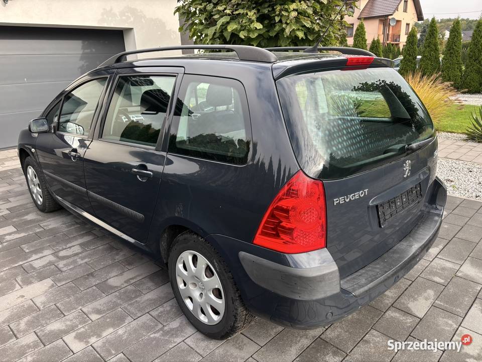 Peugeot 307 16 benzyna 2006 Sieradz