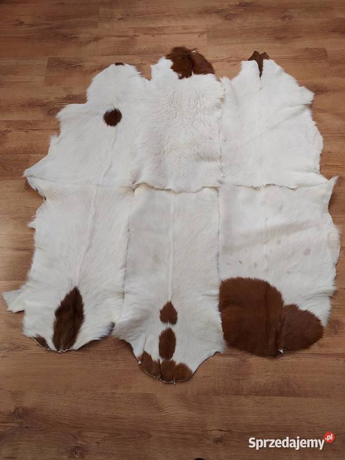 Dywan Skórzany z Naturalnych Kozich Skór 100 Szaflary sprzedam