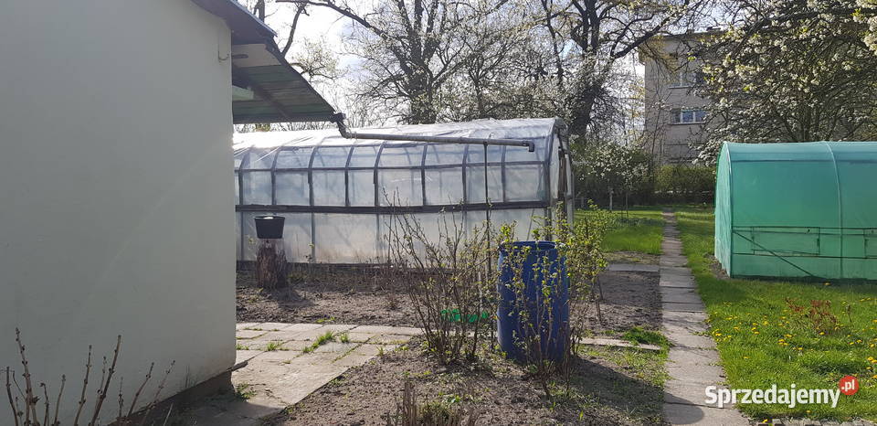 Odstępne działkę ROD Pilczyce Hutnicza Wrocław sprzedam