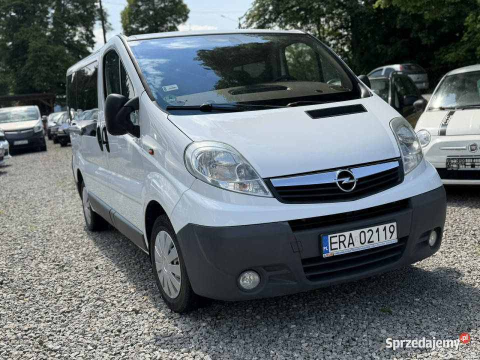 Opel Vivaro 20 benzyna 115 9 osobowy klima I Motoryzacja śląskie Łodygowice sprzedam